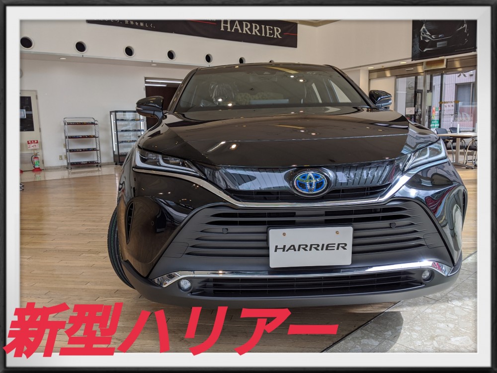 長浜店｜店舗ブログ｜福岡トヨタ自動車