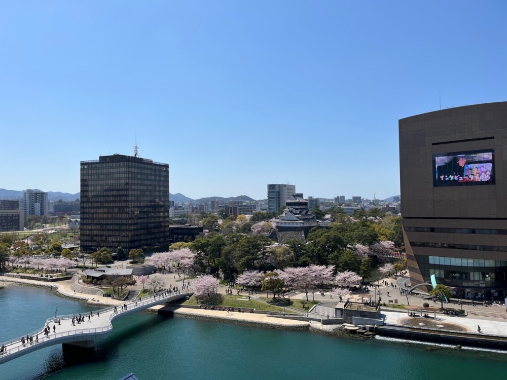 小倉東インター店|店舗ブログ|福岡トヨタ自動車
