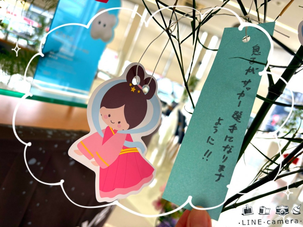 博多店・特選展示場博多｜店舗ブログ｜福岡トヨタ自動車